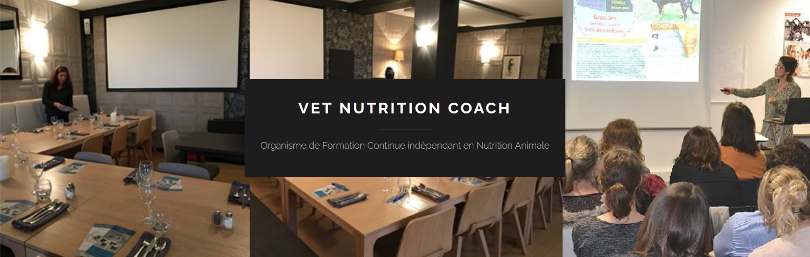 Vet-Nutrition Coach: organisme de formation continue indépendant en nutrition animale